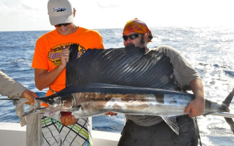 Sailfish Seadog Charters