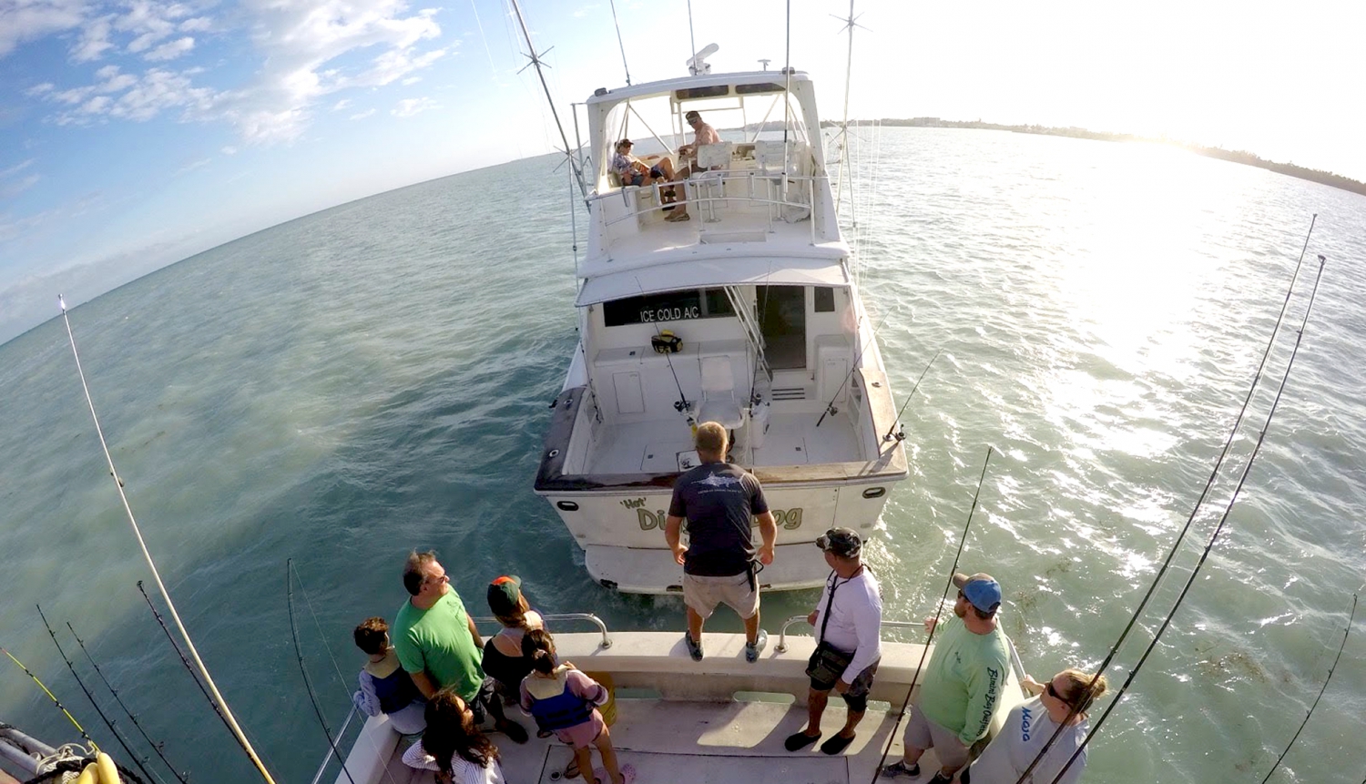 Seadog Charters